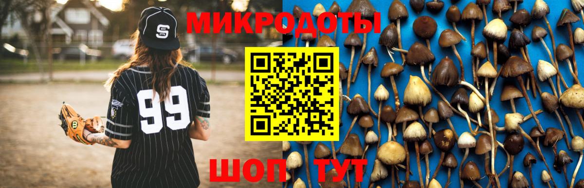 Псилоцибиновые грибы GOLDEN TEACHER Набережные Челны